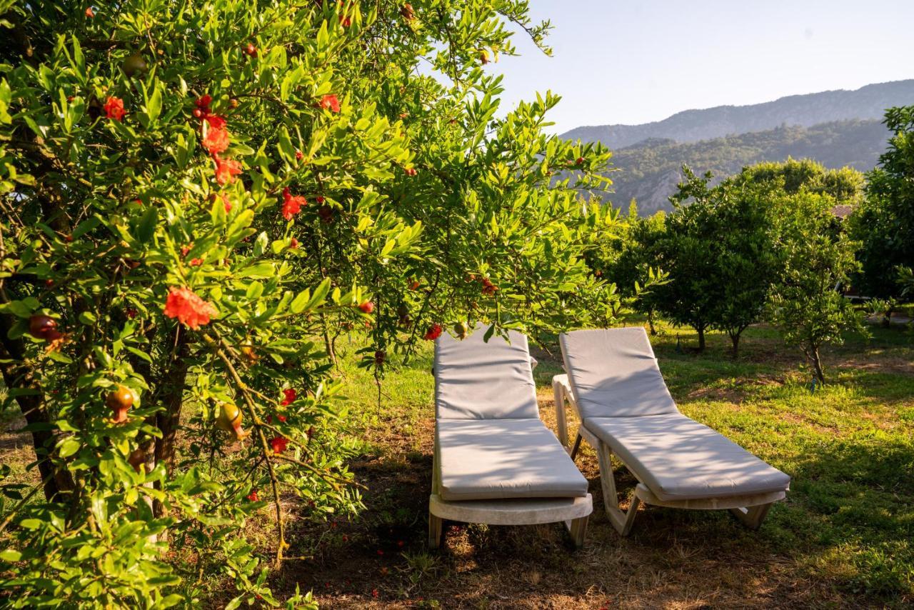 Ikiz Villas Çıralı Zewnętrze zdjęcie